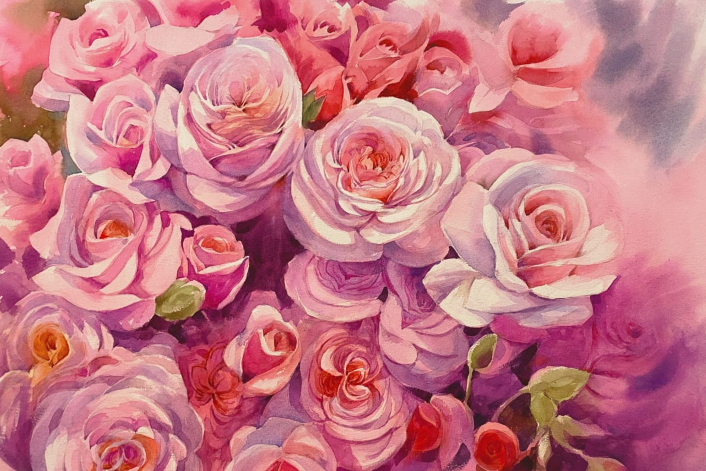 roses blossom